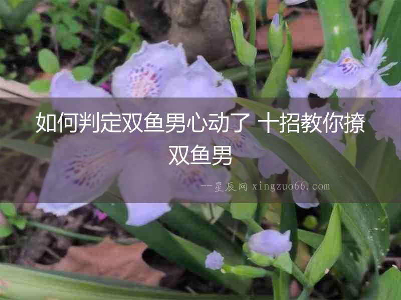 如何判定雙魚男心動了 十招教你撩雙魚男