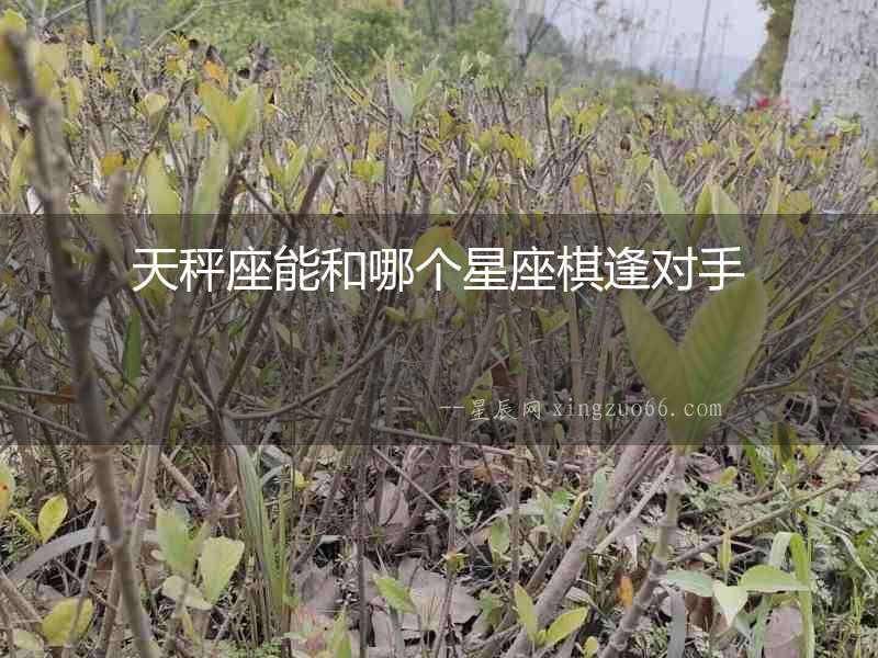 天秤座能和哪個星座棋逢對手