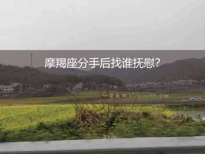 摩羯座分手后找誰撫慰？