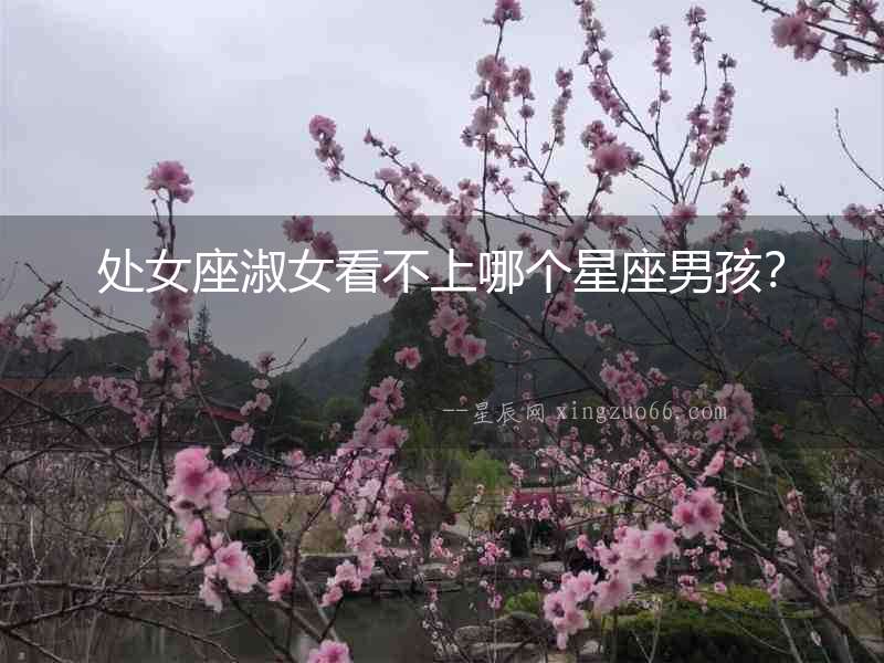 處女座淑女看不上哪個星座男孩？