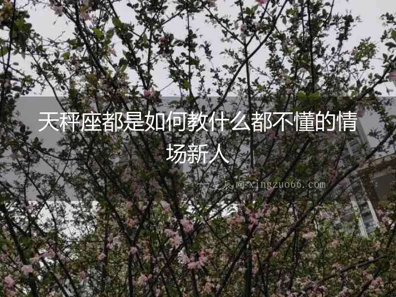 天秤座都是如何教什么都不懂的情場新人
