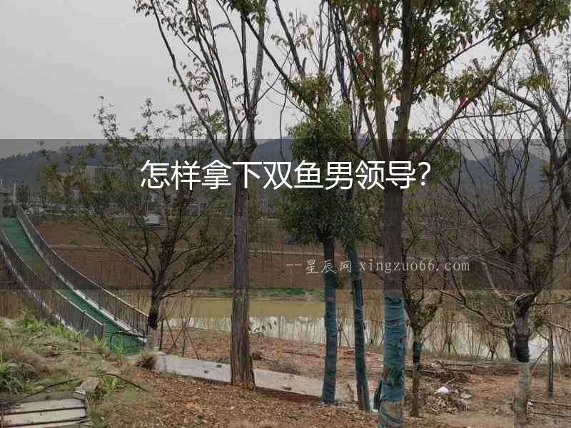 怎樣拿下雙魚男領導？