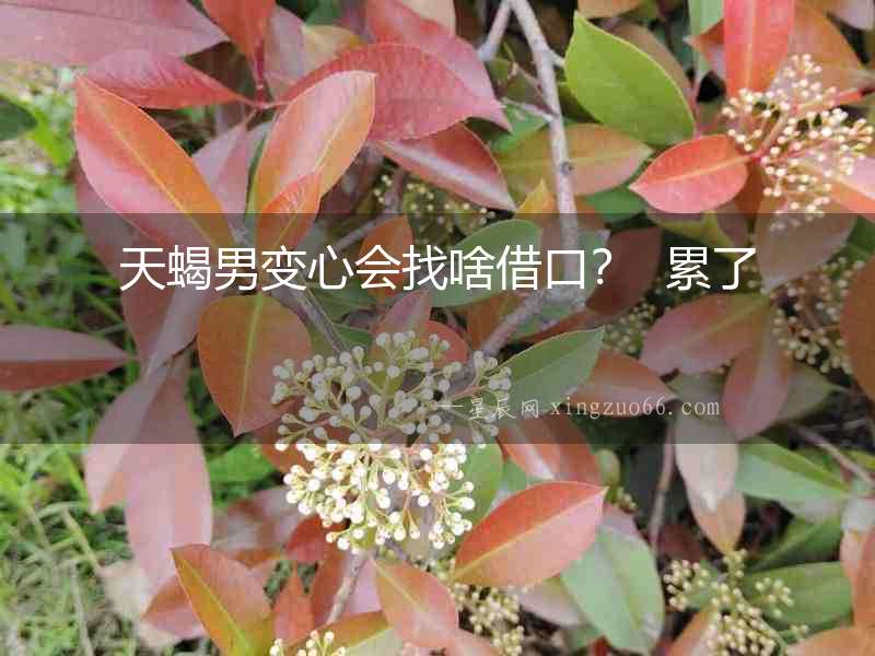 天蝎男變心會找啥借口？  累了