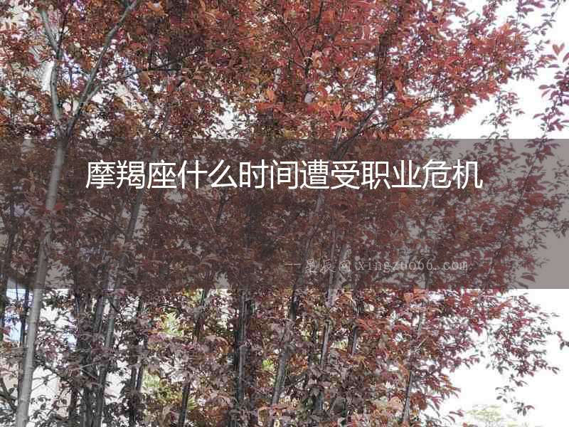 摩羯座什么時間遭受職業危機