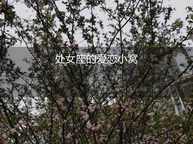 處女座的愛戀小窩