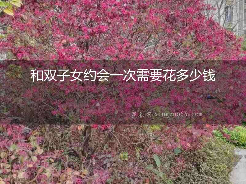 和雙子女約會一次需要花多少錢