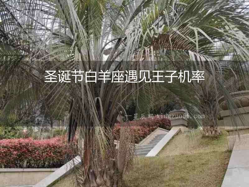 圣誕節(jié)白羊座遇見王子機(jī)率