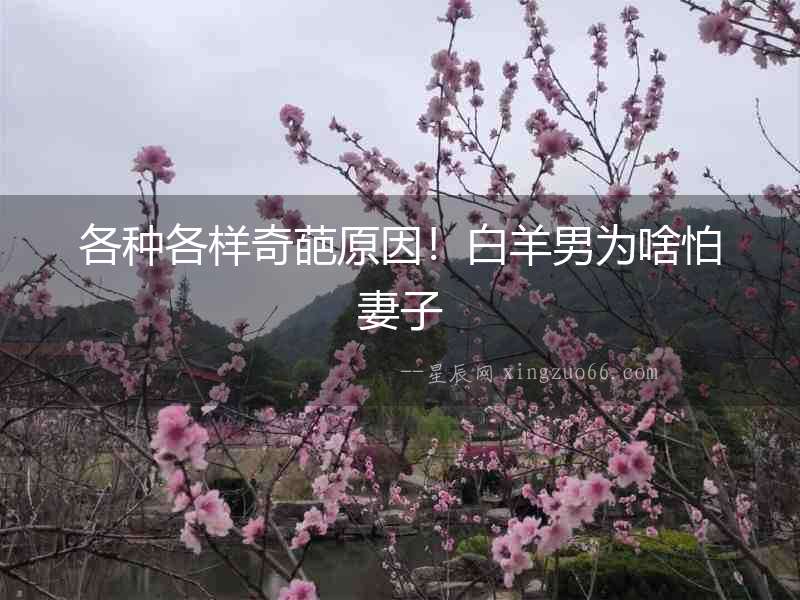 各種各樣奇葩原因！白羊男為啥怕妻子