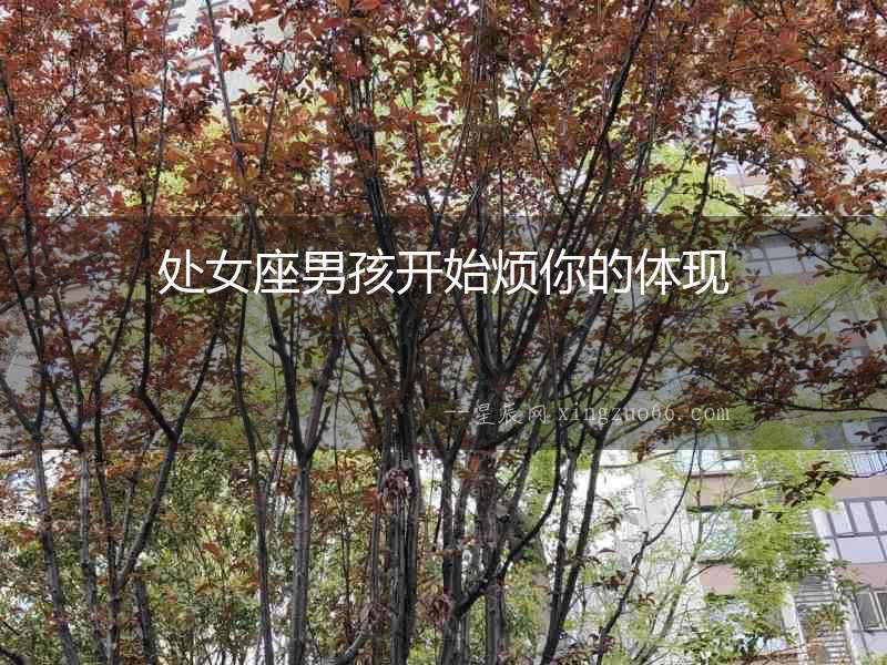 處女座男孩開始煩你的體現