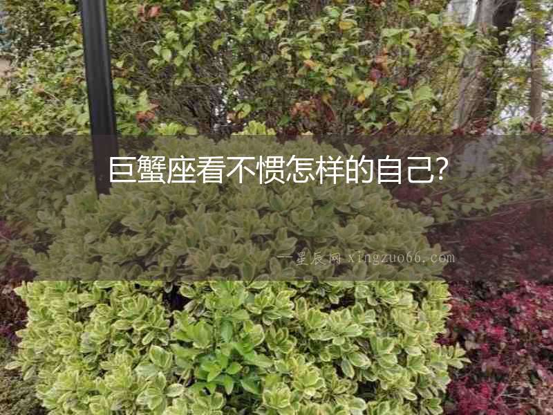 巨蟹座看不慣怎樣的自己？