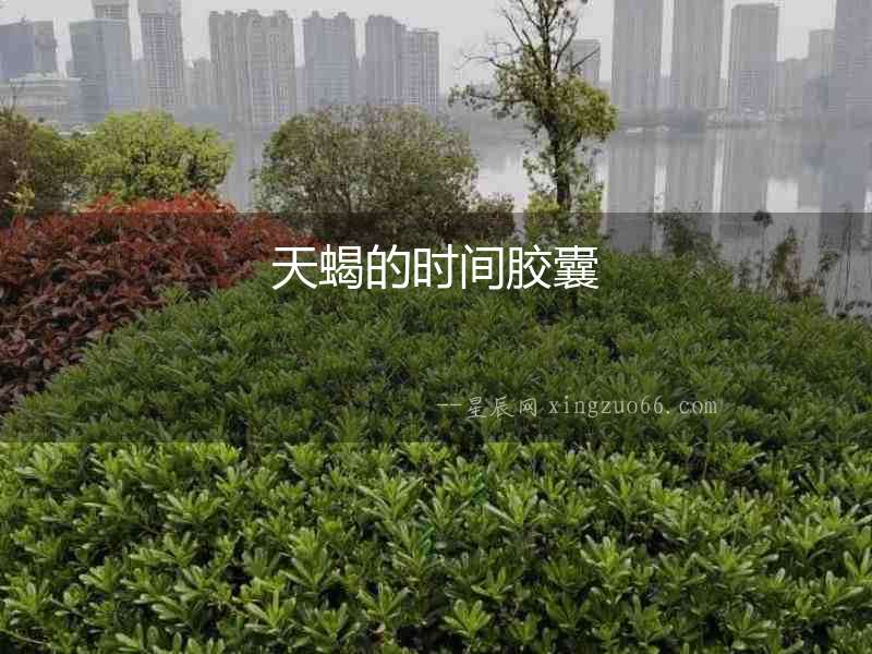 天蝎的時間膠囊