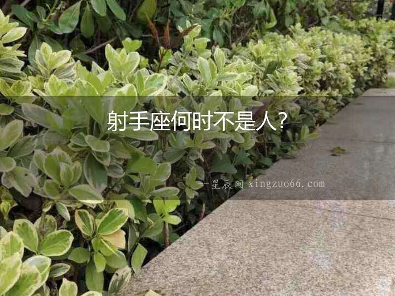 射手座何時不是人？