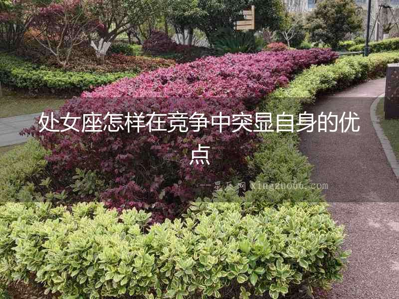 處女座怎樣在競爭中突顯自身的優(yōu)點