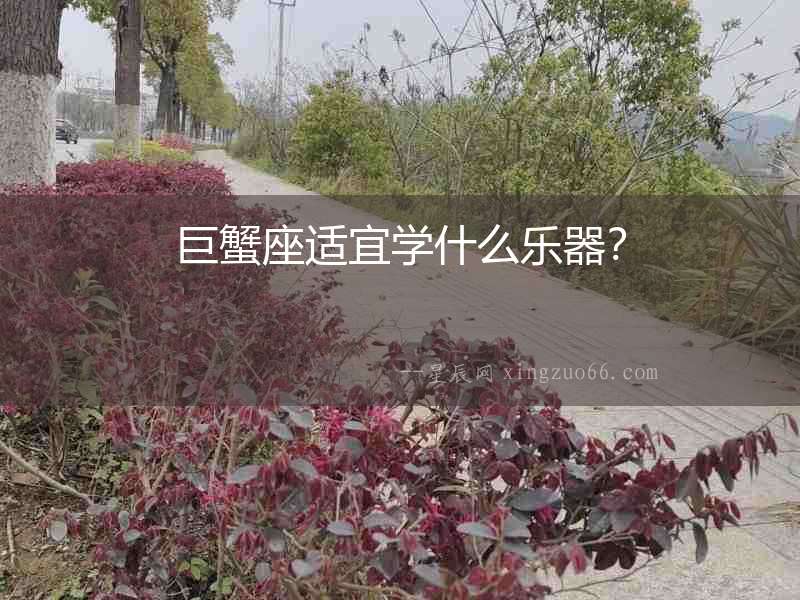 巨蟹座適宜學什么樂器？