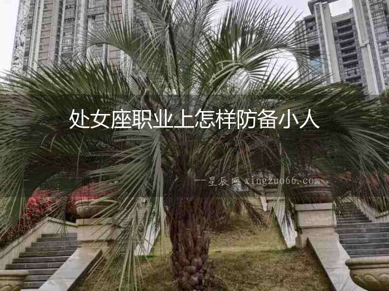 處女座職業上怎樣防備小人