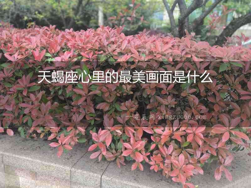 天蝎座心里的最美畫面是什么