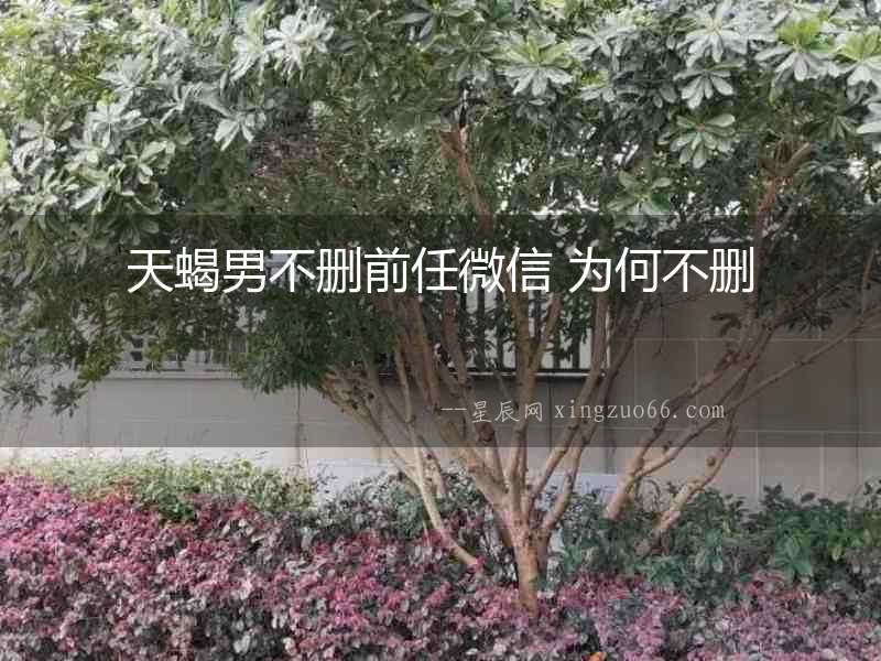 天蝎男不刪前任微信 為何不刪