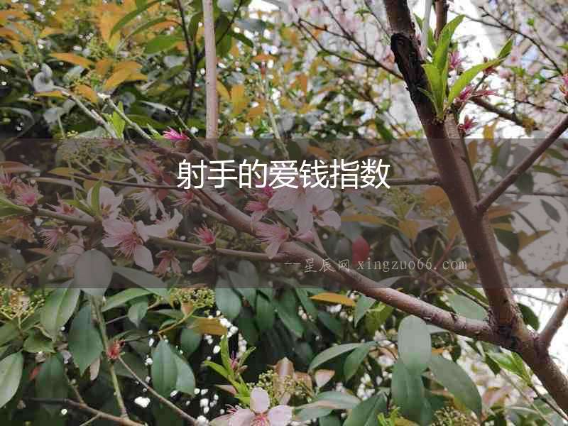 射手的愛錢指數
