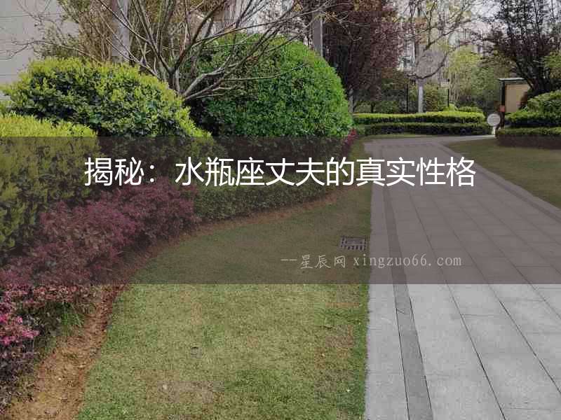 揭秘：水瓶座丈夫的真實性格