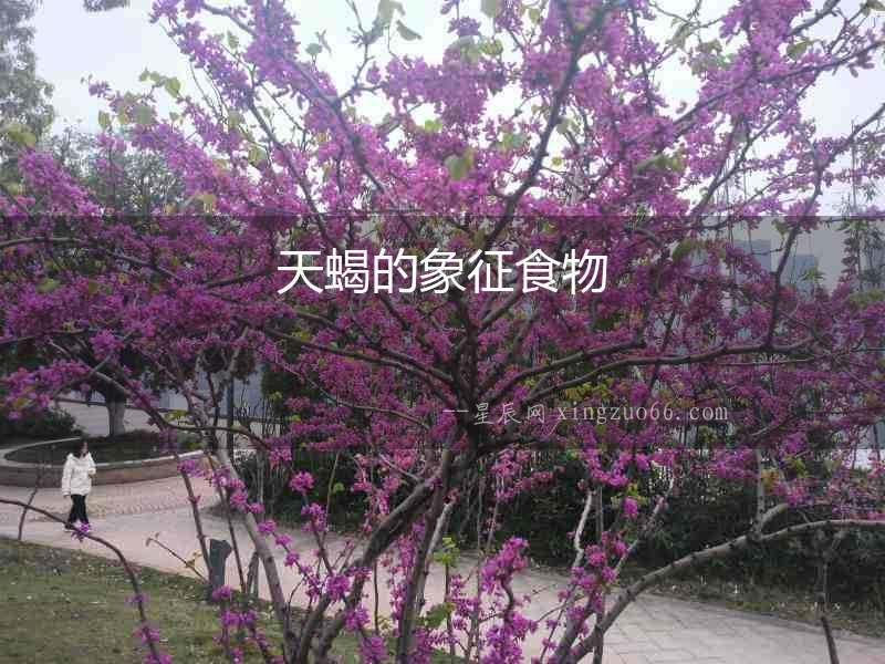 天蝎的象征食物