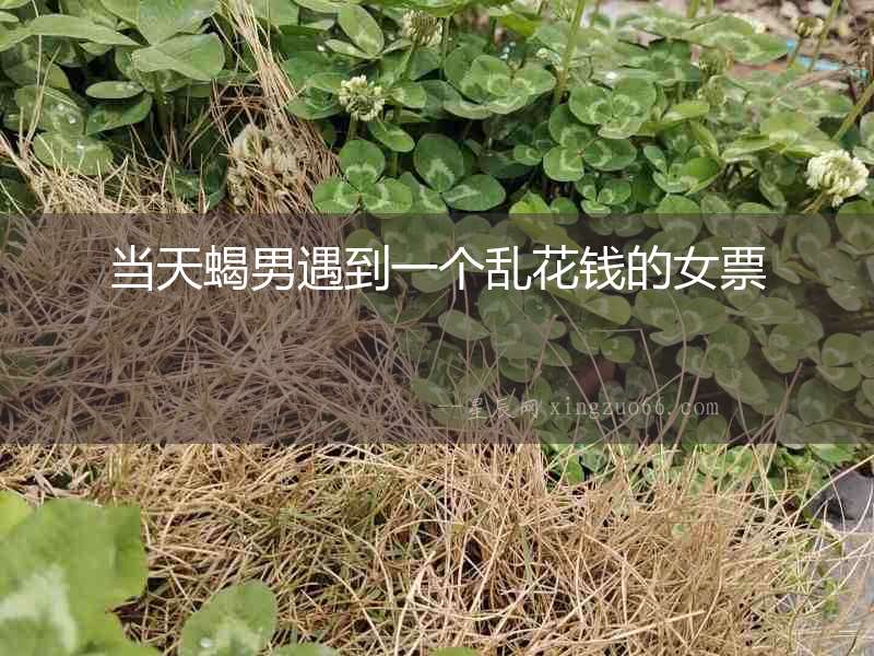 當(dāng)天蝎男遇到一個亂花錢的女票