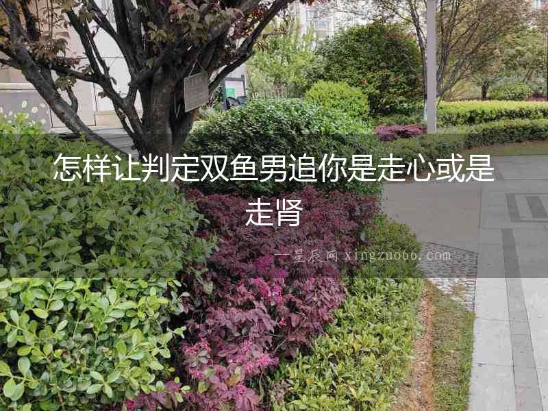 怎樣讓判定雙魚(yú)男追你是走心或是走腎