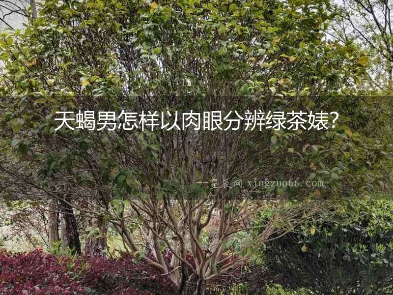 天蝎男怎樣以肉眼分辨綠茶婊？