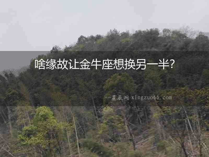啥緣故讓金牛座想換另一半？