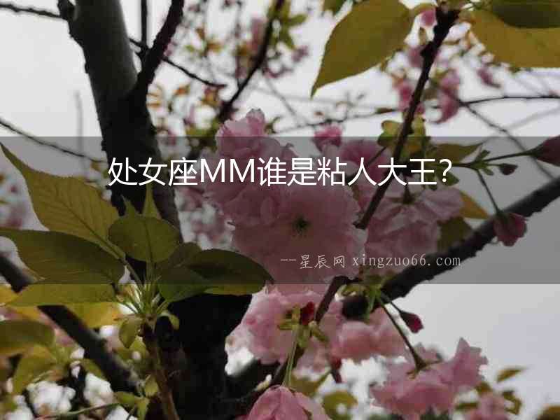 處女座MM誰是粘人大王？