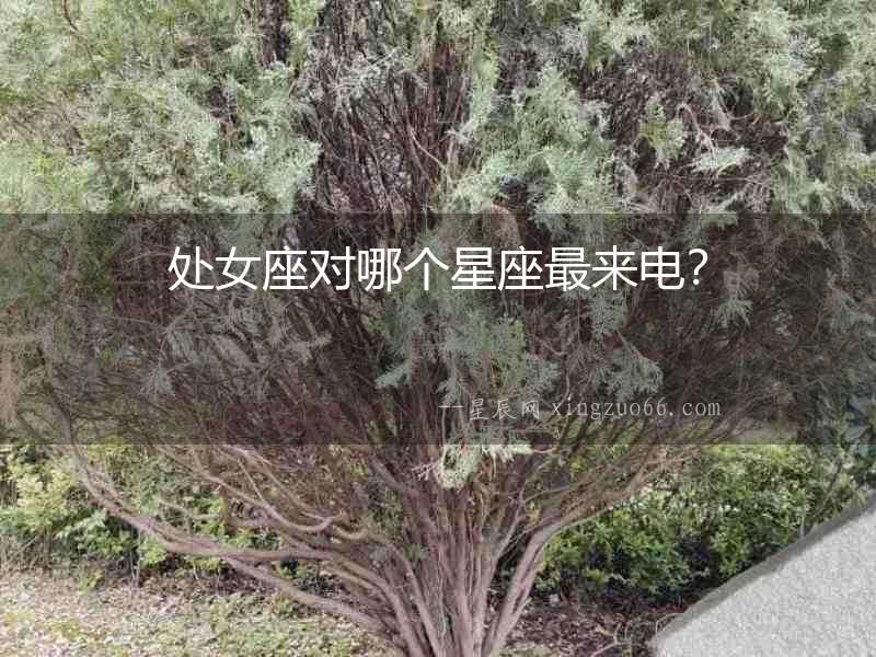 處女座對哪個星座最來電？