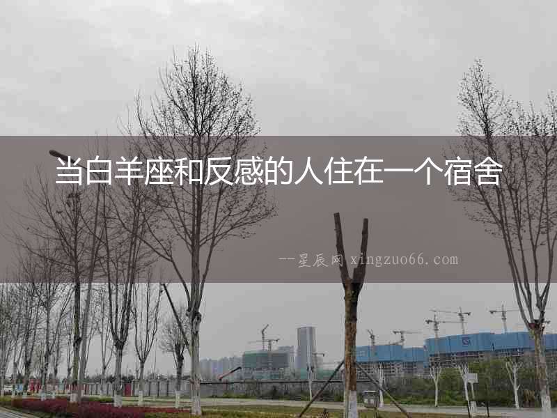 當白羊座和反感的人住在一個宿舍