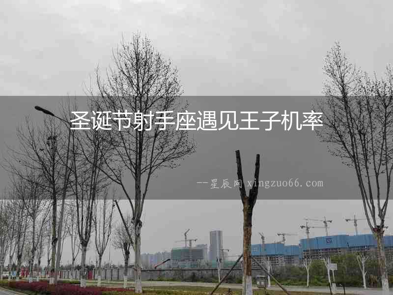圣誕節(jié)射手座遇見王子機率