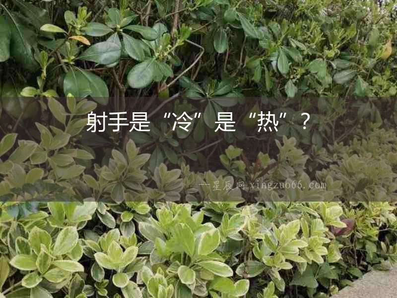 射手是“冷”是“熱”？