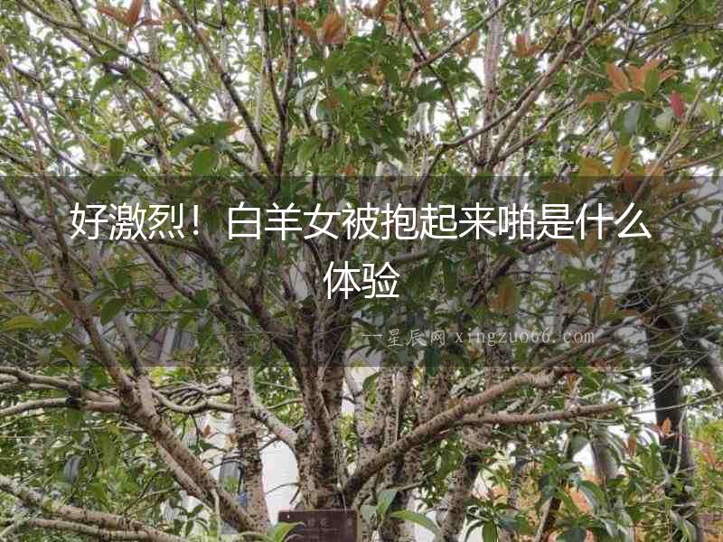 好激烈！白羊女被抱起來啪是什么體驗