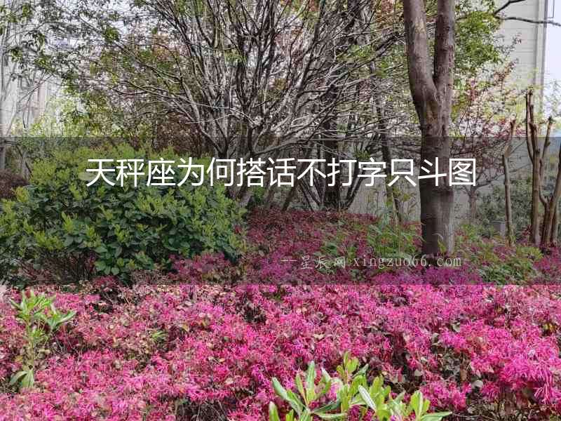 天秤座為何搭話不打字只斗圖