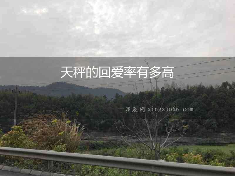 天秤的回愛率有多高