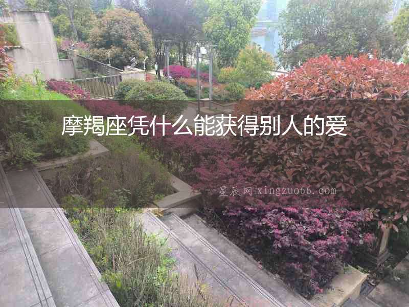 摩羯座憑什么能獲得別人的愛