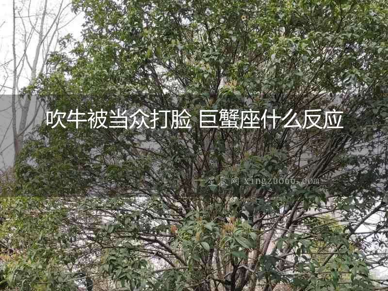 吹牛被當(dāng)眾打臉 巨蟹座什么反應(yīng)