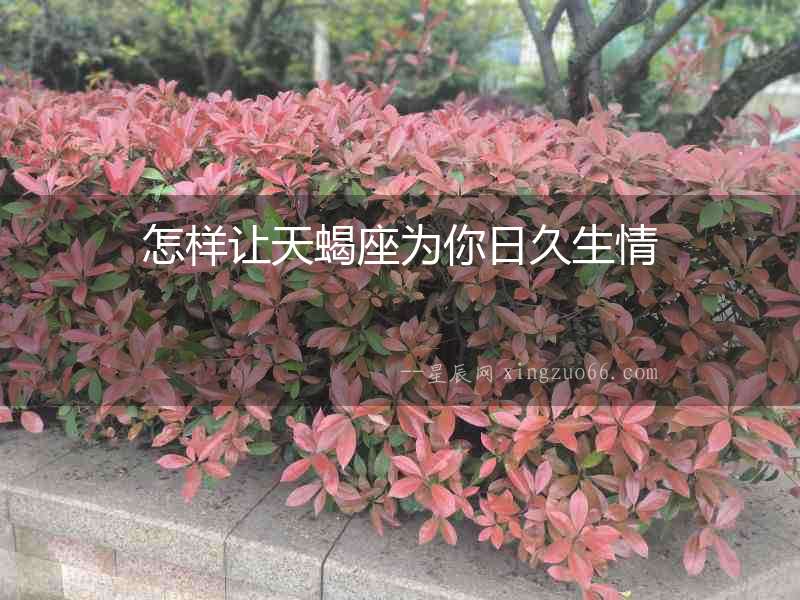 怎樣讓天蝎座為你日久生情