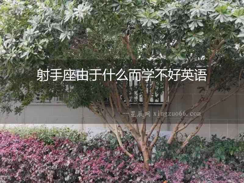 射手座由于什么而學不好英語
