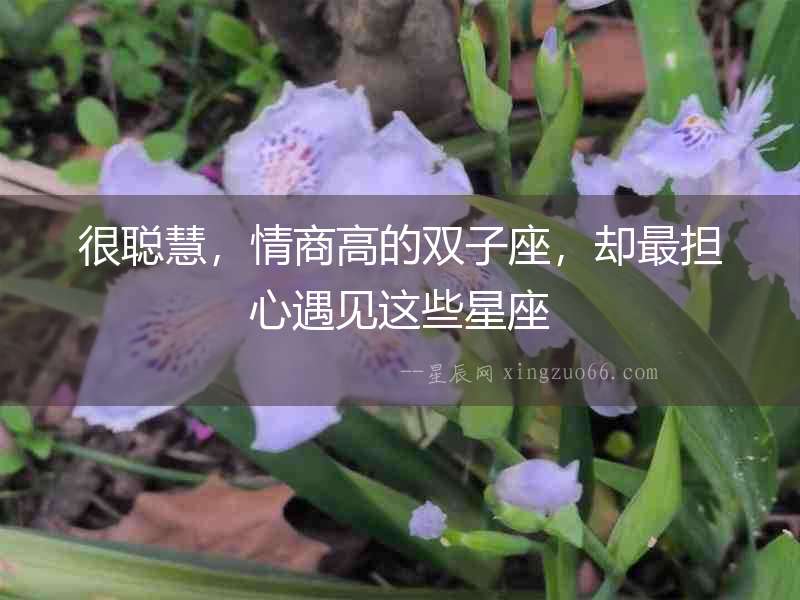 很聰慧，情商高的雙子座，卻最擔心遇見這些星座