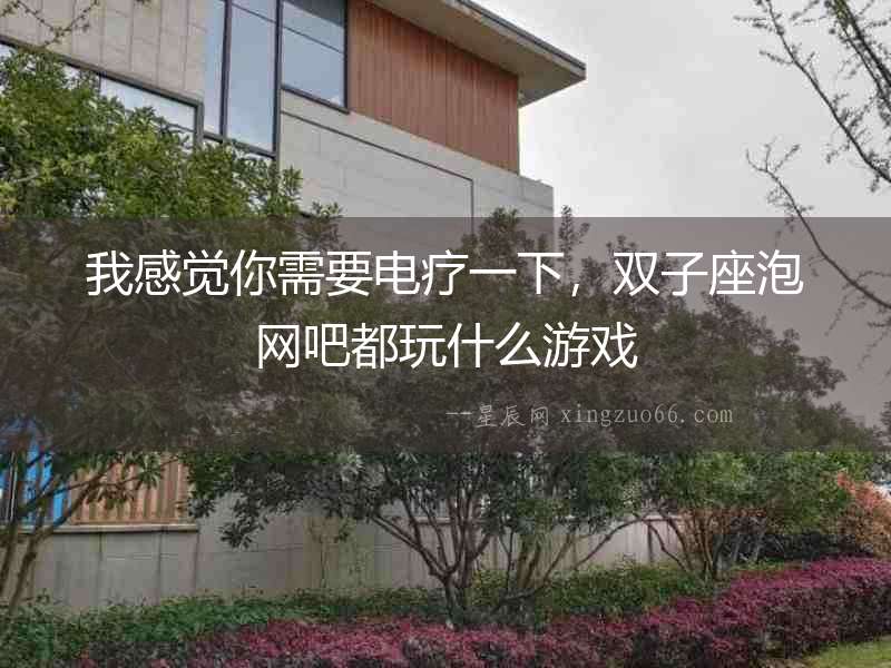 我感覺你需要電療一下，雙子座泡網吧都玩什么游戲
