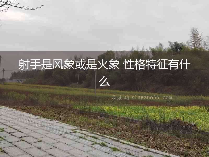 射手是風象或是火象 性格特征有什么