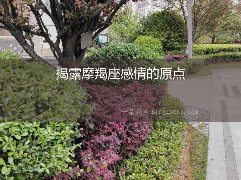 揭露摩羯座感情的原點