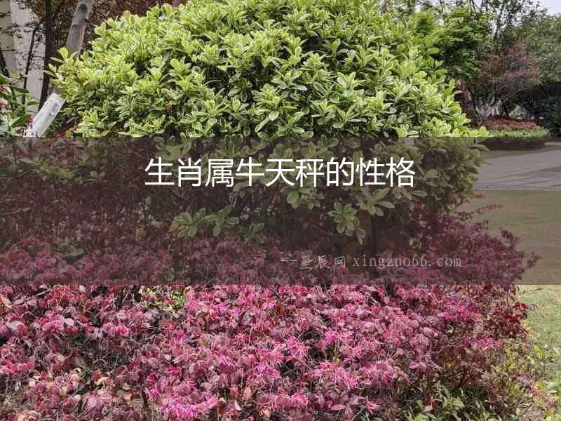 生肖屬牛天秤的性格