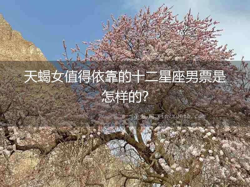 天蝎女值得依靠的十二星座男票是怎樣的？