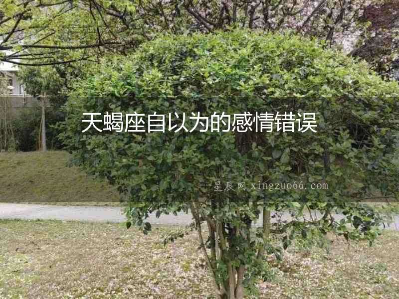 天蝎座自以為的感情錯誤