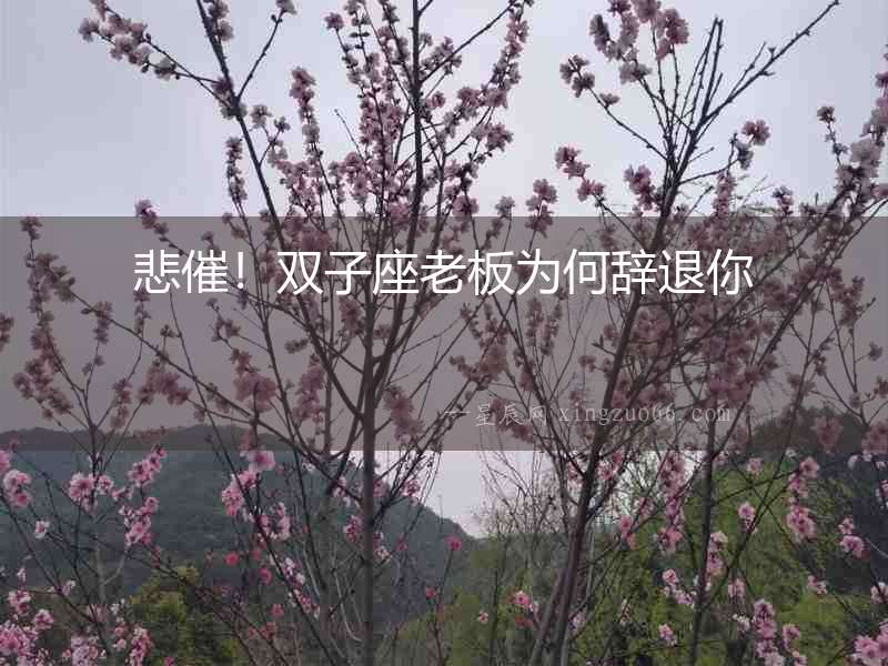 悲催！雙子座老板為何辭退你
