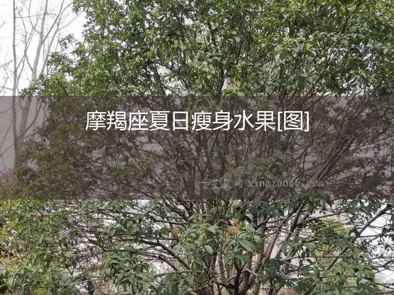 摩羯座夏日瘦身水果[圖]
