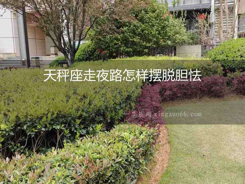 天秤座走夜路怎樣擺脫膽怯